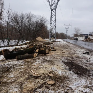Расчистка промышленных участков